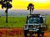 Paraa Safari Lodge - Activities